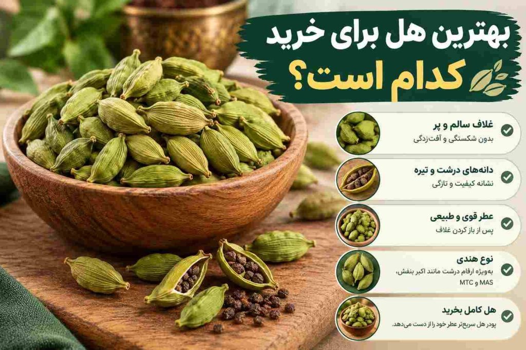 بهترین هل برای خرید کدام است؟