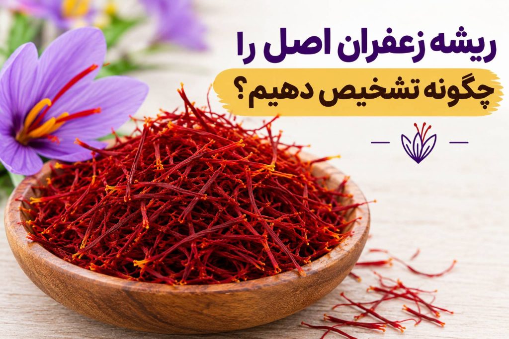 ریشه زعفران اصل را چگونه تشخیص دهیم؟