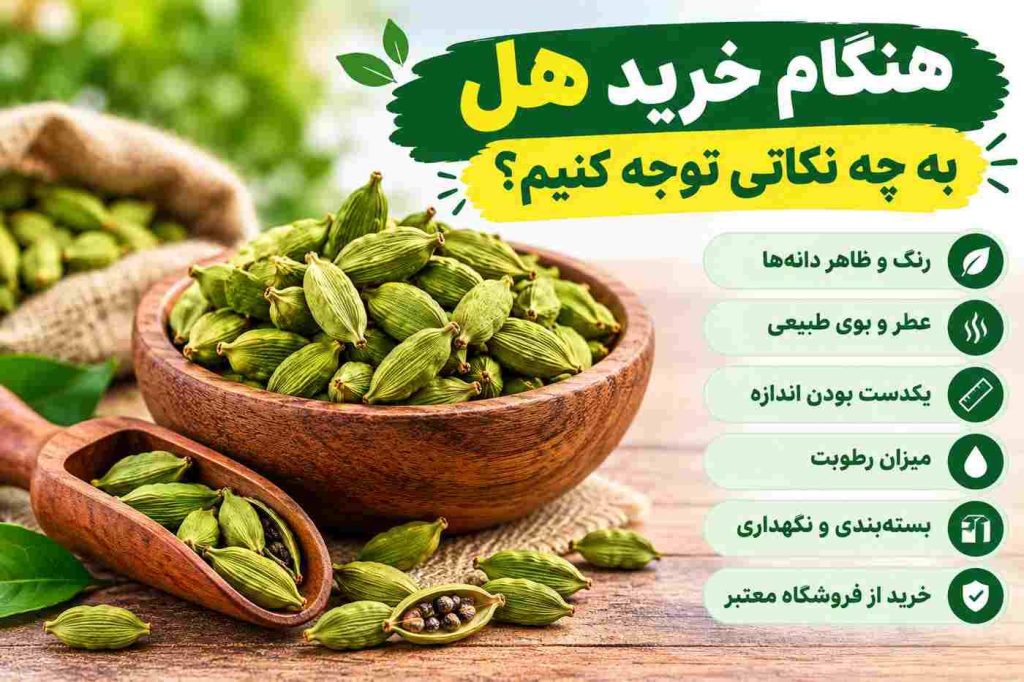 هنگام خرید هل به چه نکاتی توجه کنیم؟